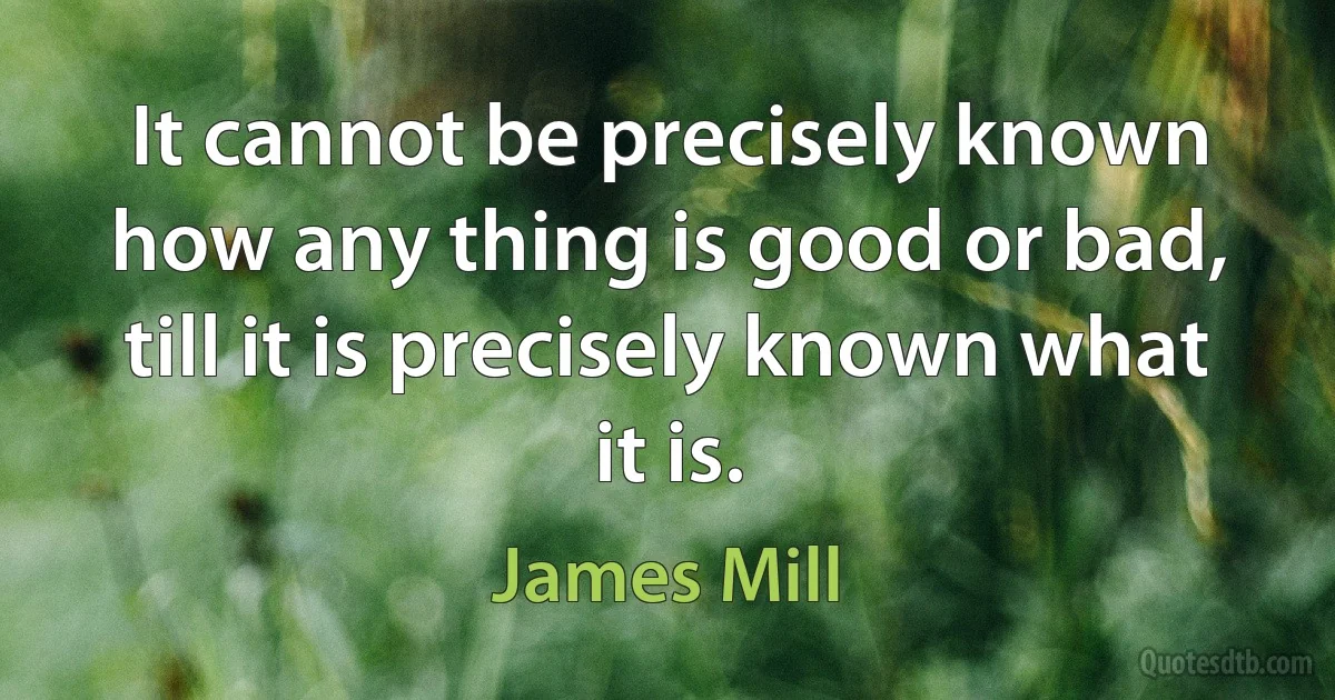 It cannot be precisely known how any thing is good or bad, till it is precisely known what it is. (James Mill)