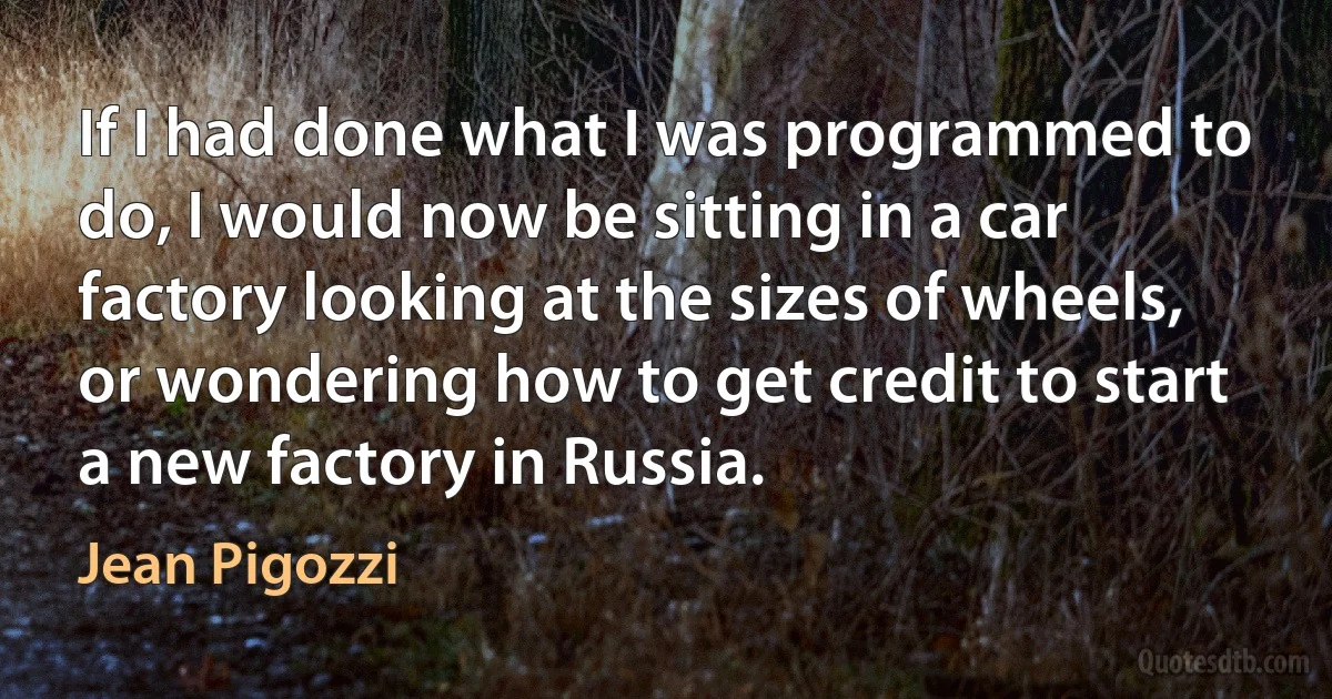 If I had done what I was programmed to do, I would now be sitting in a car factory looking at the sizes of wheels, or wondering how to get credit to start a new factory in Russia. (Jean Pigozzi)