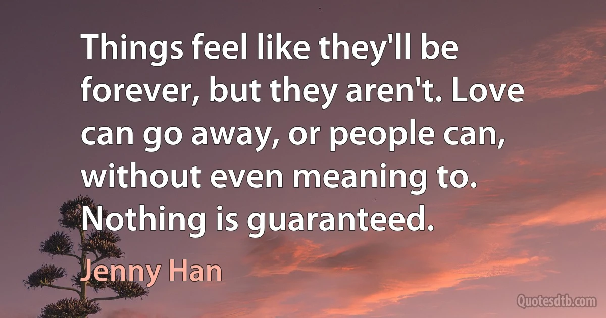 Things feel like they'll be forever, but they aren't. Love can go away, or people can, without even meaning to. Nothing is guaranteed. (Jenny Han)