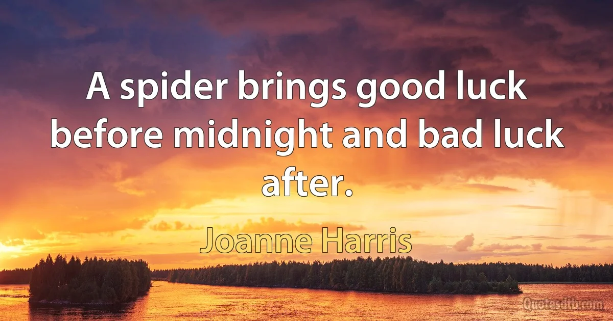 A spider brings good luck before midnight and bad luck after. (Joanne Harris)