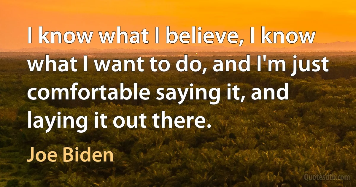 I know what I believe, I know what I want to do, and I'm just comfortable saying it, and laying it out there. (Joe Biden)