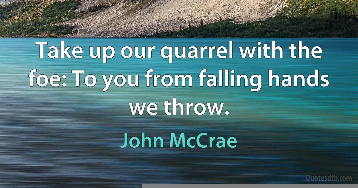 Take up our quarrel with the foe: To you from falling hands we throw. (John McCrae)