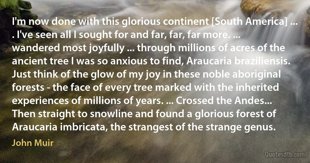 I'm now done with this glorious continent [South America] ... . I've seen all I sought for and far, far, far more. ... wandered most joyfully ... through millions of acres of the ancient tree I was so anxious to find, Araucaria braziliensis. Just think of the glow of my joy in these noble aboriginal forests - the face of every tree marked with the inherited experiences of millions of years. ... Crossed the Andes... Then straight to snowline and found a glorious forest of Araucaria imbricata, the strangest of the strange genus. (John Muir)