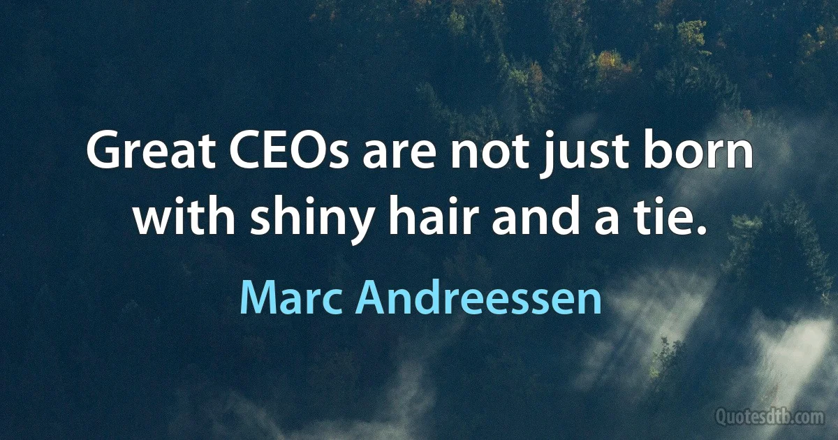 Great CEOs are not just born with shiny hair and a tie. (Marc Andreessen)