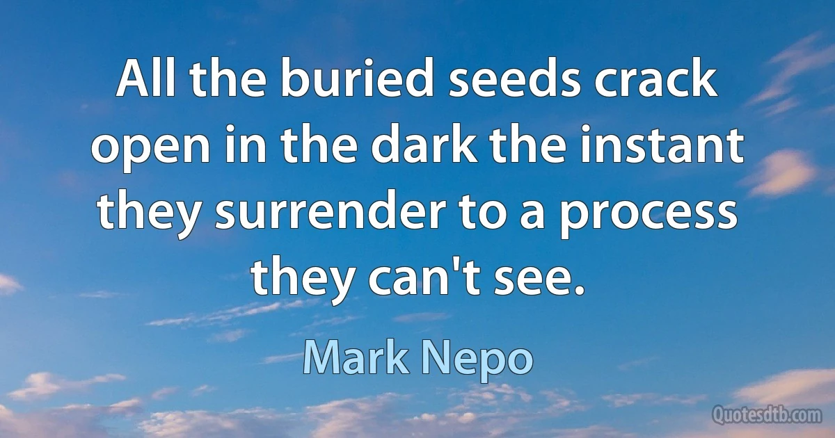 All the buried seeds crack open in the dark the instant they surrender to a process they can't see. (Mark Nepo)