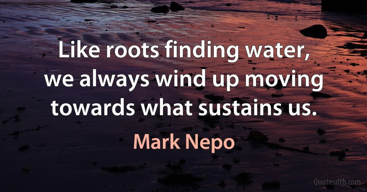 Like roots finding water, we always wind up moving towards what sustains us. (Mark Nepo)