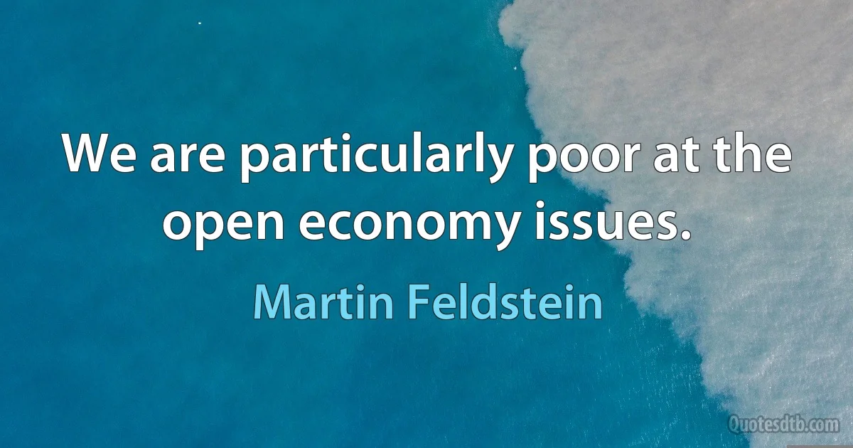 We are particularly poor at the open economy issues. (Martin Feldstein)