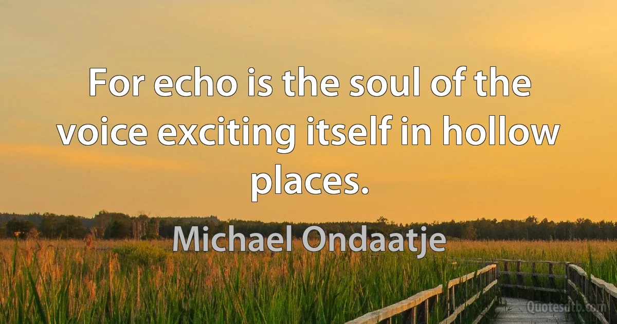 For echo is the soul of the voice exciting itself in hollow places. (Michael Ondaatje)