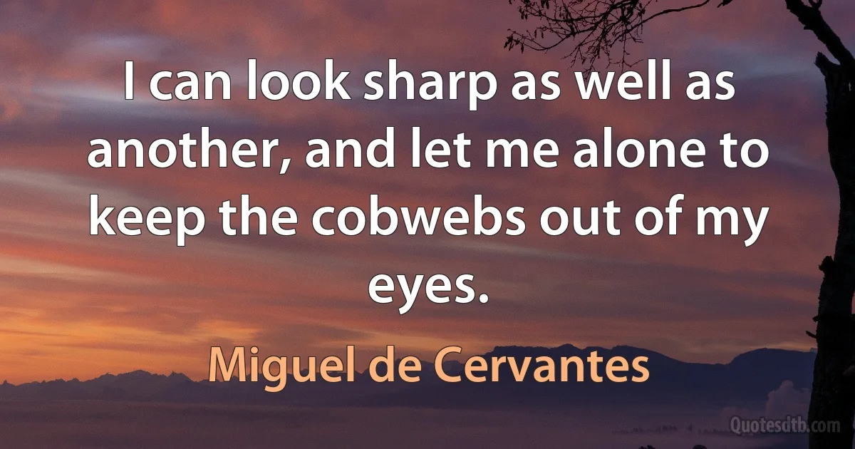 I can look sharp as well as another, and let me alone to keep the cobwebs out of my eyes. (Miguel de Cervantes)