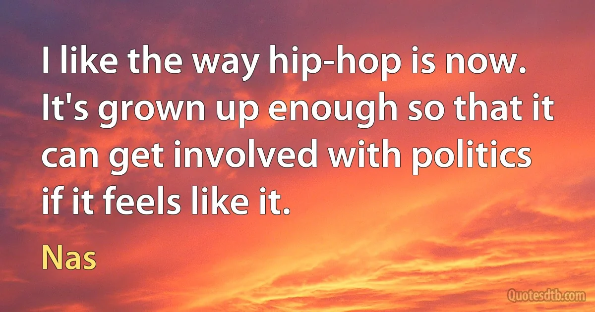 I like the way hip-hop is now. It's grown up enough so that it can get involved with politics if it feels like it. (Nas)