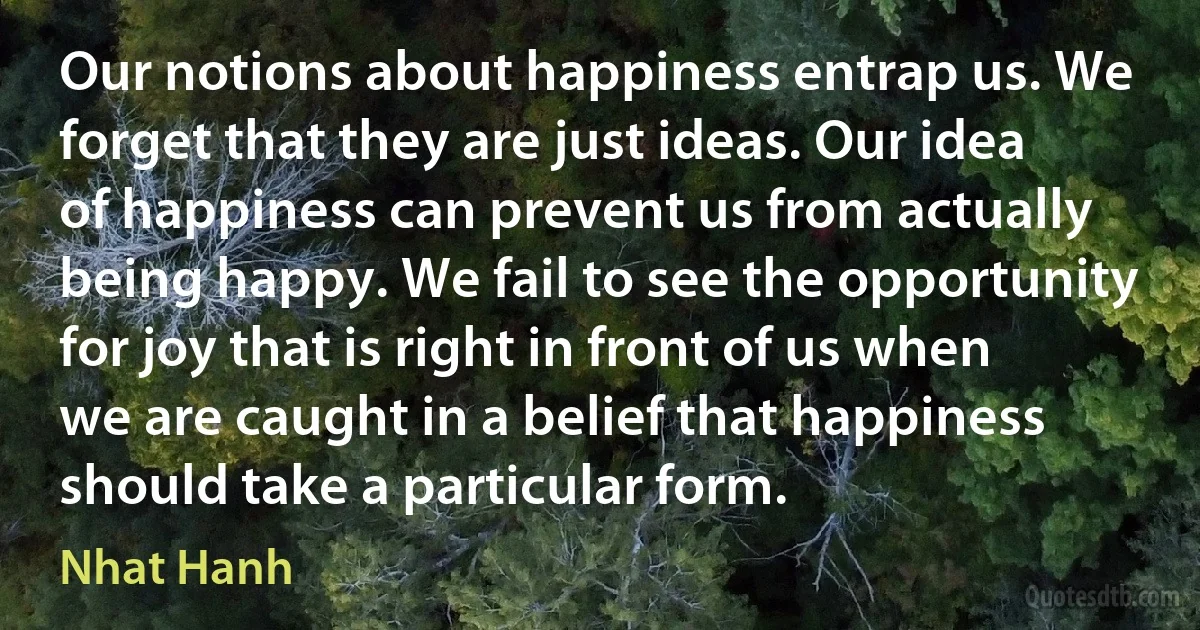 Our notions about happiness entrap us. We forget that they are just ideas. Our idea of happiness can prevent us from actually being happy. We fail to see the opportunity for joy that is right in front of us when we are caught in a belief that happiness should take a particular form. (Nhat Hanh)