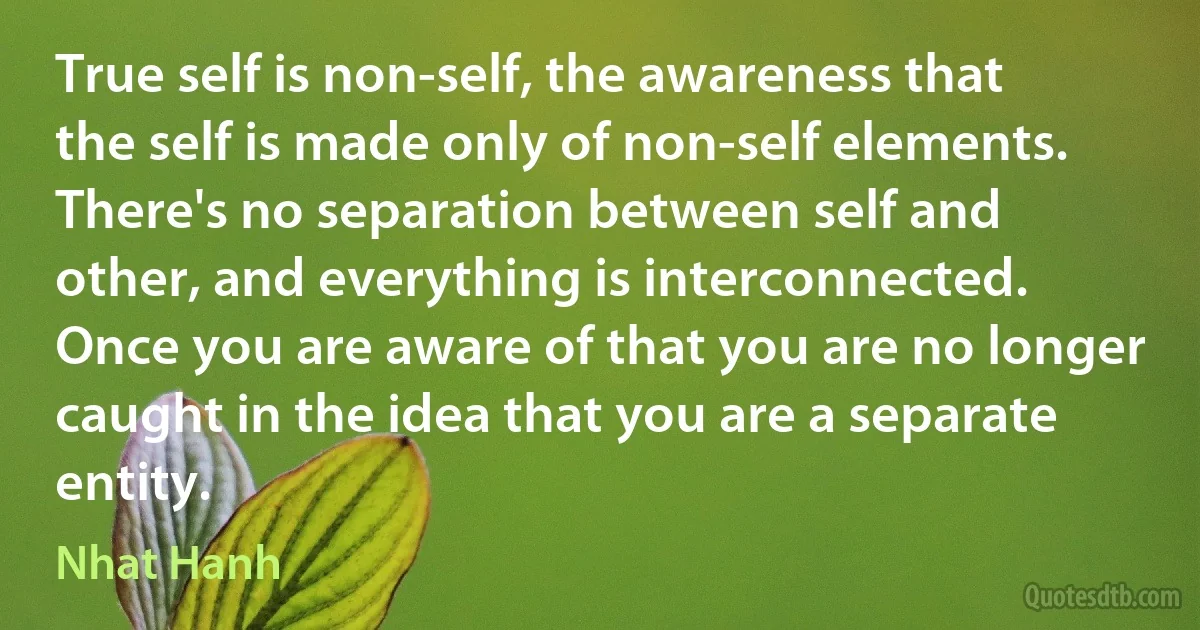 True self is non-self, the awareness that the self is made only of non-self elements. There's no separation between self and other, and everything is interconnected. Once you are aware of that you are no longer caught in the idea that you are a separate entity. (Nhat Hanh)