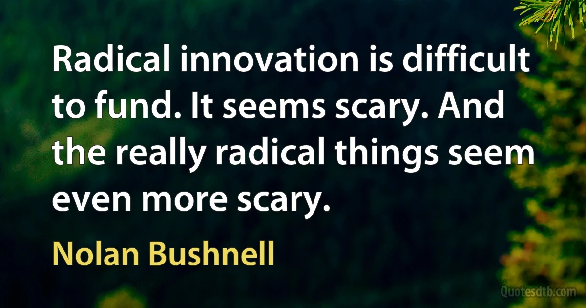 Radical innovation is difficult to fund. It seems scary. And the really radical things seem even more scary. (Nolan Bushnell)