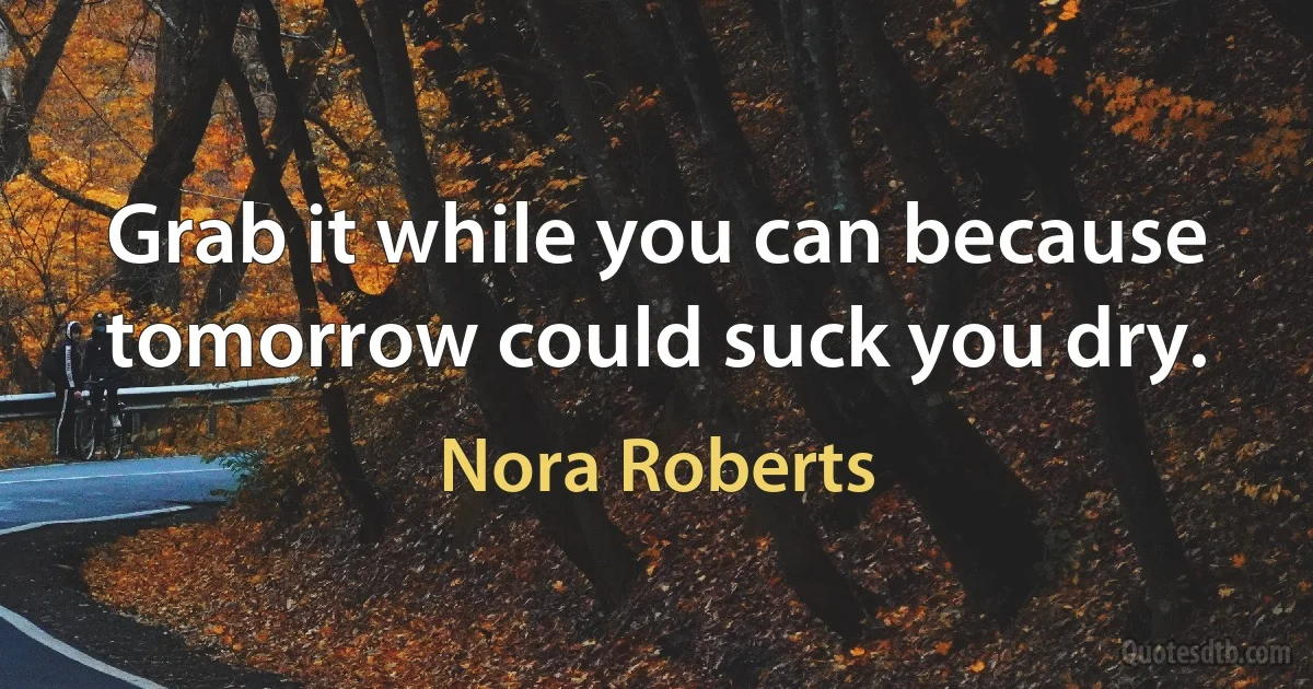 Grab it while you can because tomorrow could suck you dry. (Nora Roberts)