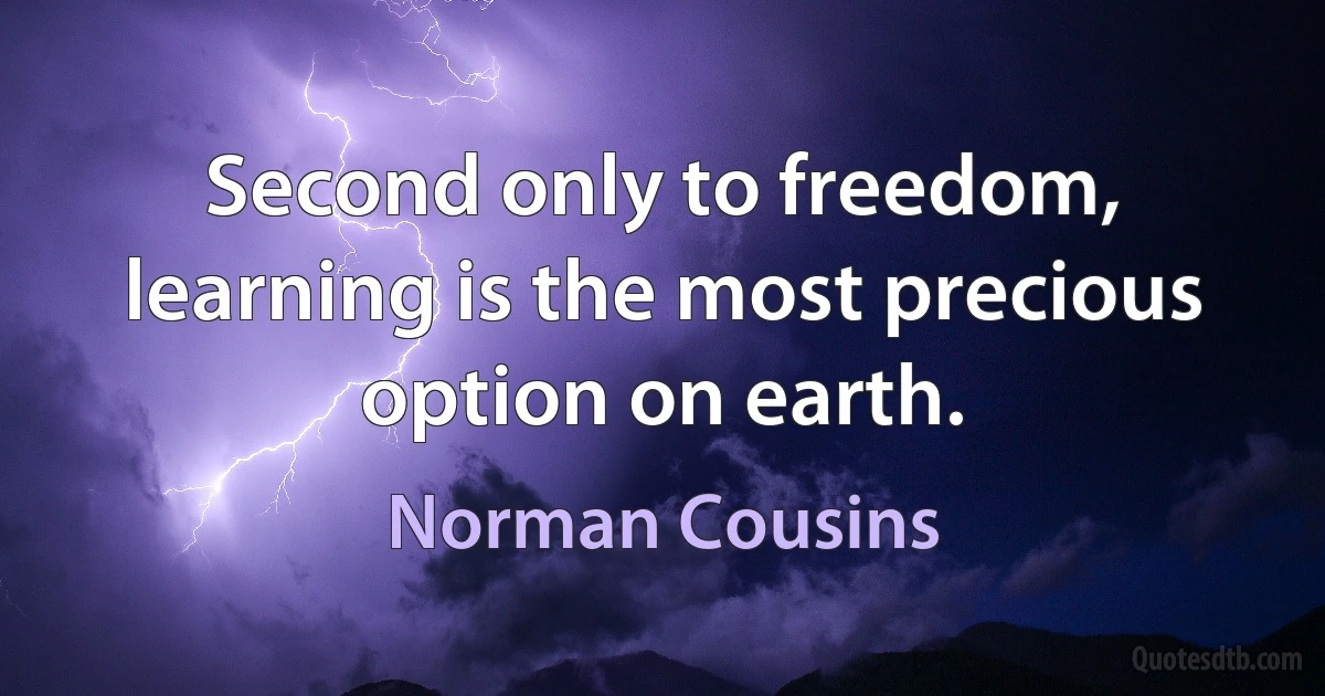 Second only to freedom, learning is the most precious option on earth. (Norman Cousins)