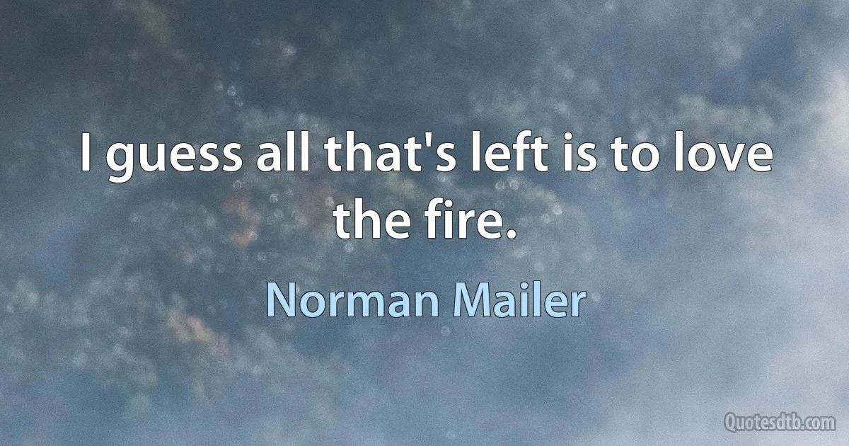 I guess all that's left is to love the fire. (Norman Mailer)