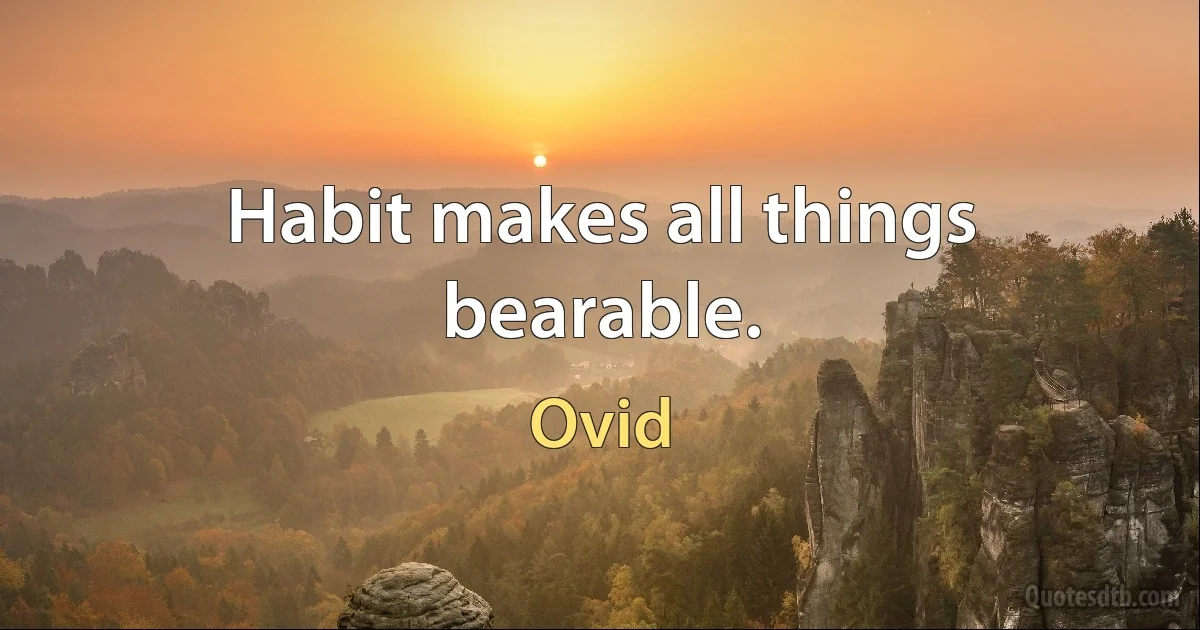 Habit makes all things bearable. (Ovid)