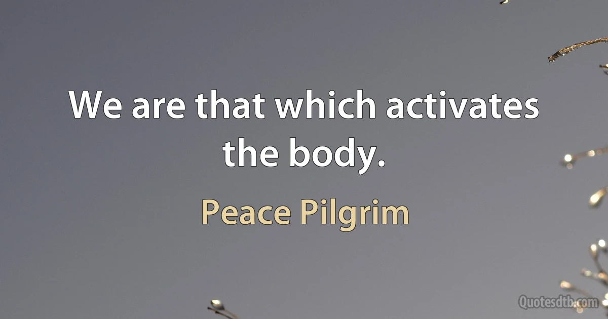 We are that which activates the body. (Peace Pilgrim)