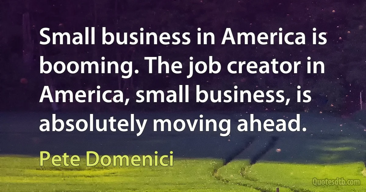 Small business in America is booming. The job creator in America, small business, is absolutely moving ahead. (Pete Domenici)