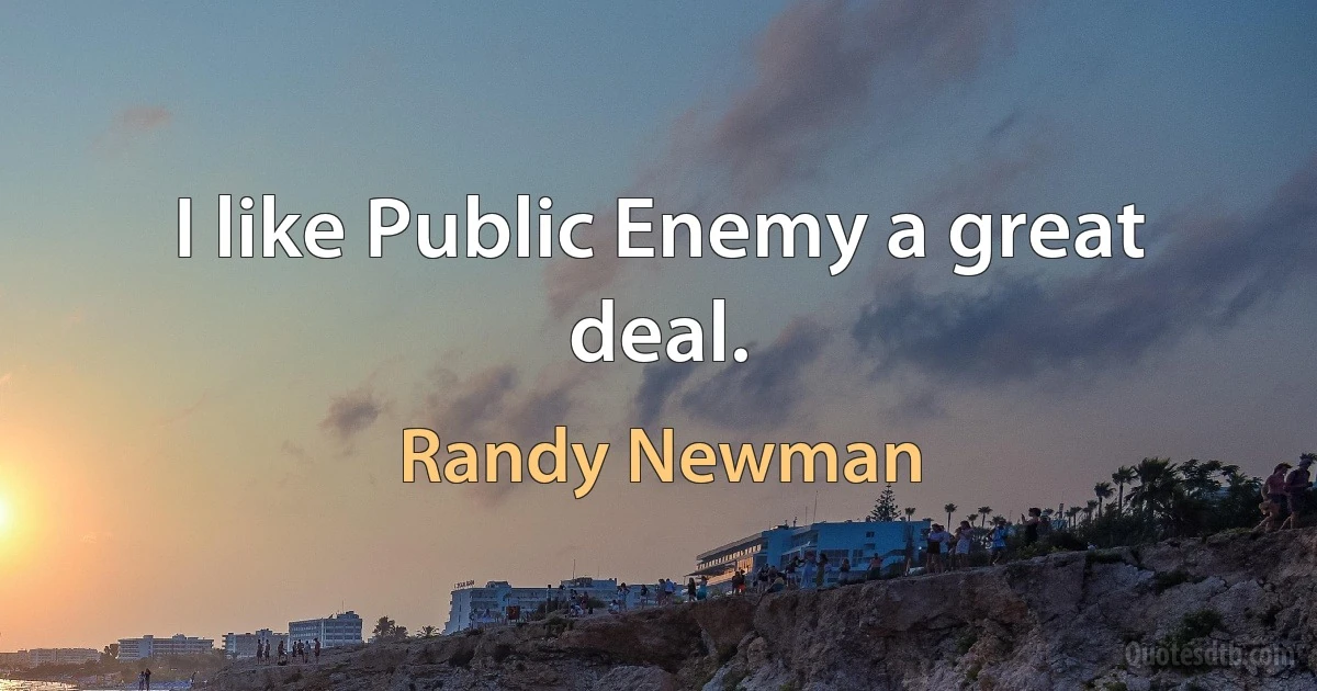 I like Public Enemy a great deal. (Randy Newman)