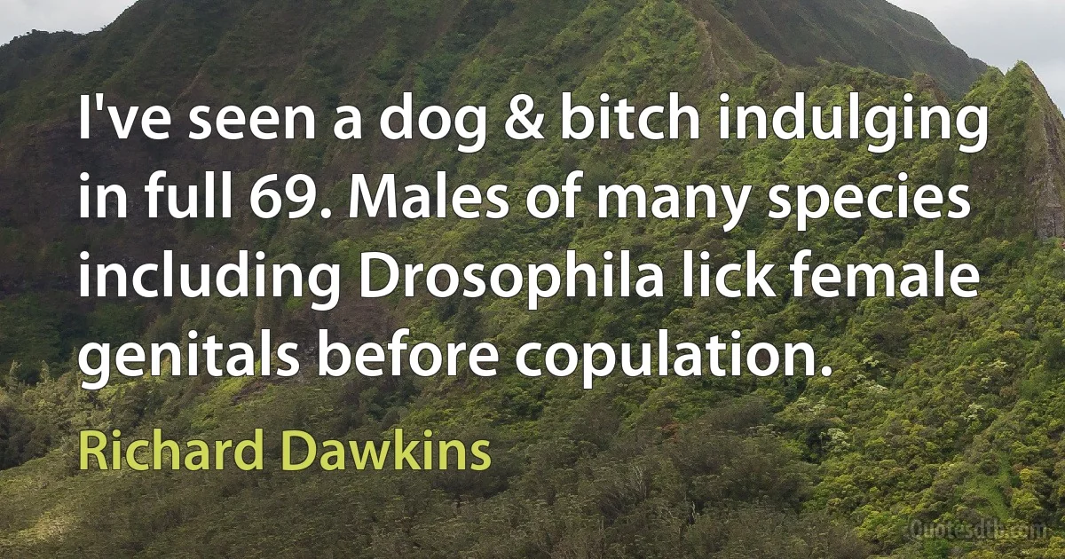 I've seen a dog & bitch indulging in full 69. Males of many species including Drosophila lick female genitals before copulation. (Richard Dawkins)