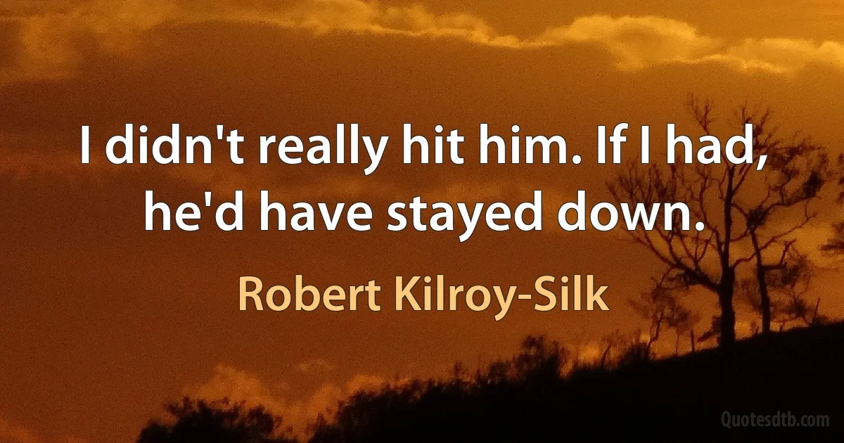 I didn't really hit him. If I had, he'd have stayed down. (Robert Kilroy-Silk)