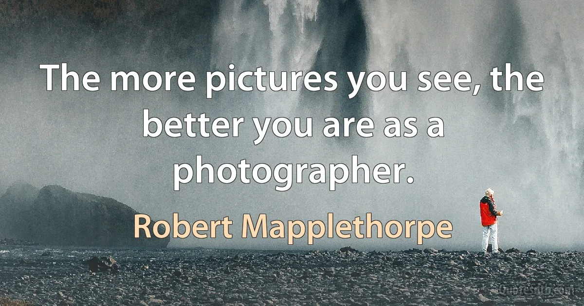 The more pictures you see, the better you are as a photographer. (Robert Mapplethorpe)