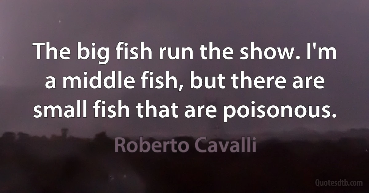 The big fish run the show. I'm a middle fish, but there are small fish that are poisonous. (Roberto Cavalli)