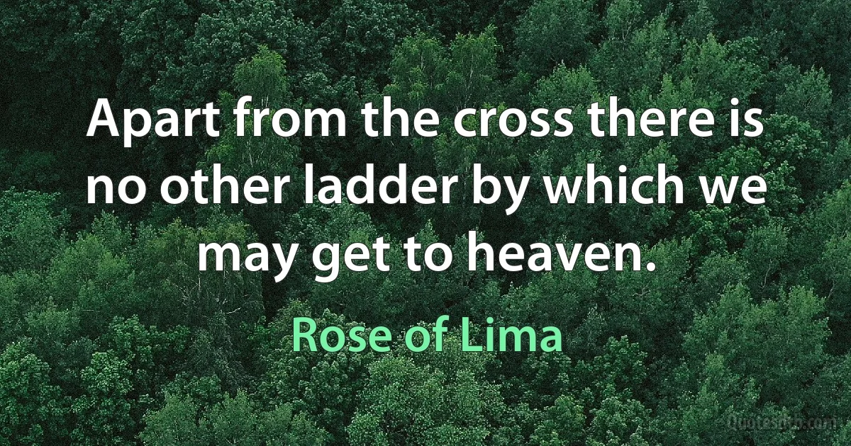 Apart from the cross there is no other ladder by which we may get to heaven. (Rose of Lima)