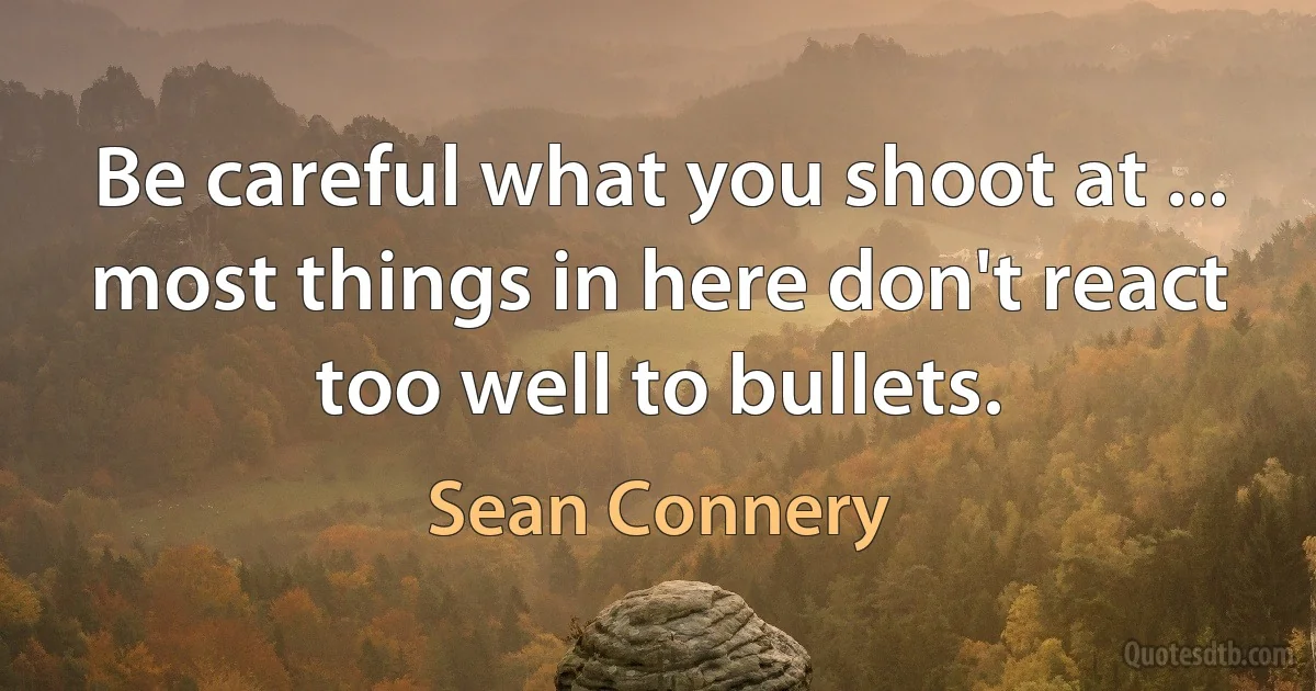 Be careful what you shoot at ... most things in here don't react too well to bullets. (Sean Connery)