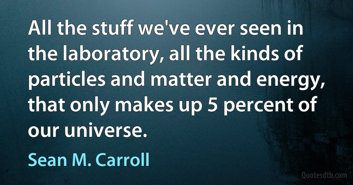 All the stuff we've ever seen in the laboratory, all the kinds of particles and matter and energy, that only makes up 5 percent of our universe. (Sean M. Carroll)