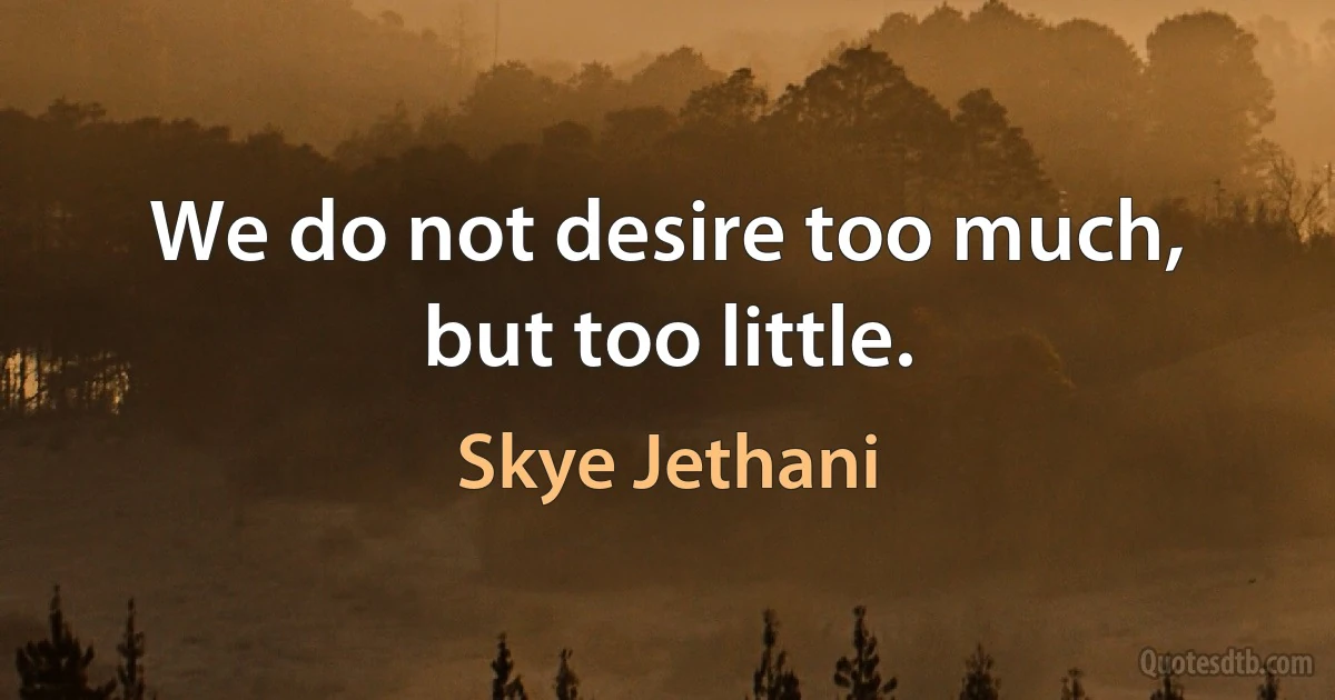 We do not desire too much, but too little. (Skye Jethani)