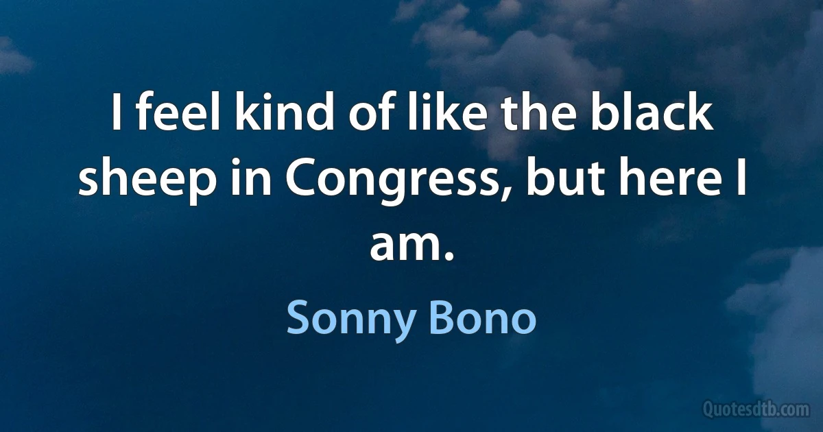 I feel kind of like the black sheep in Congress, but here I am. (Sonny Bono)