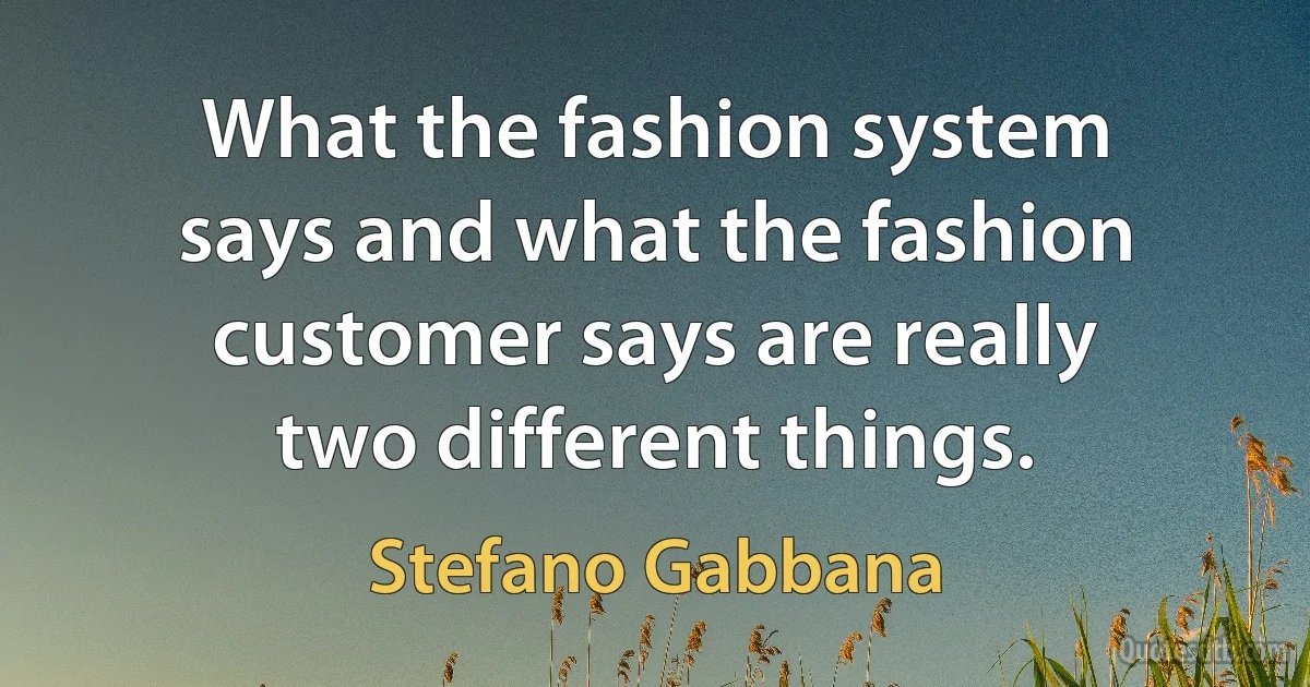 What the fashion system says and what the fashion customer says are really two different things. (Stefano Gabbana)