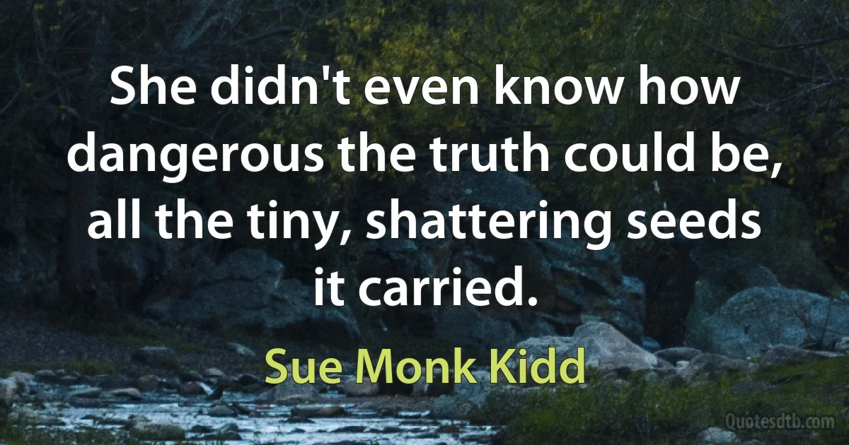 She didn't even know how dangerous the truth could be, all the tiny, shattering seeds it carried. (Sue Monk Kidd)