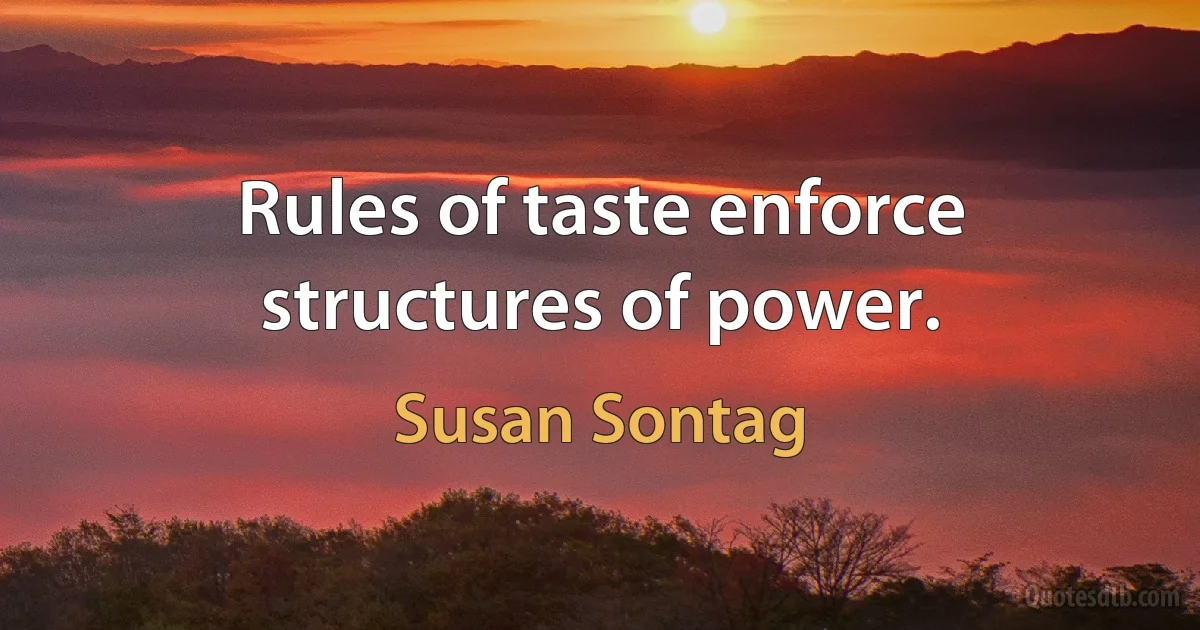 Rules of taste enforce structures of power. (Susan Sontag)