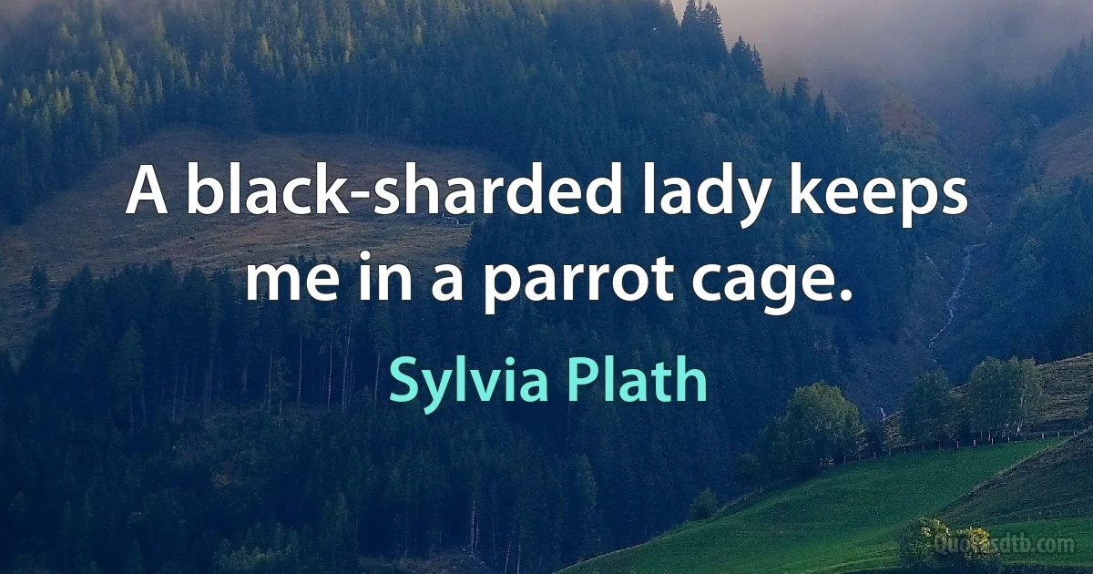 A black-sharded lady keeps me in a parrot cage. (Sylvia Plath)