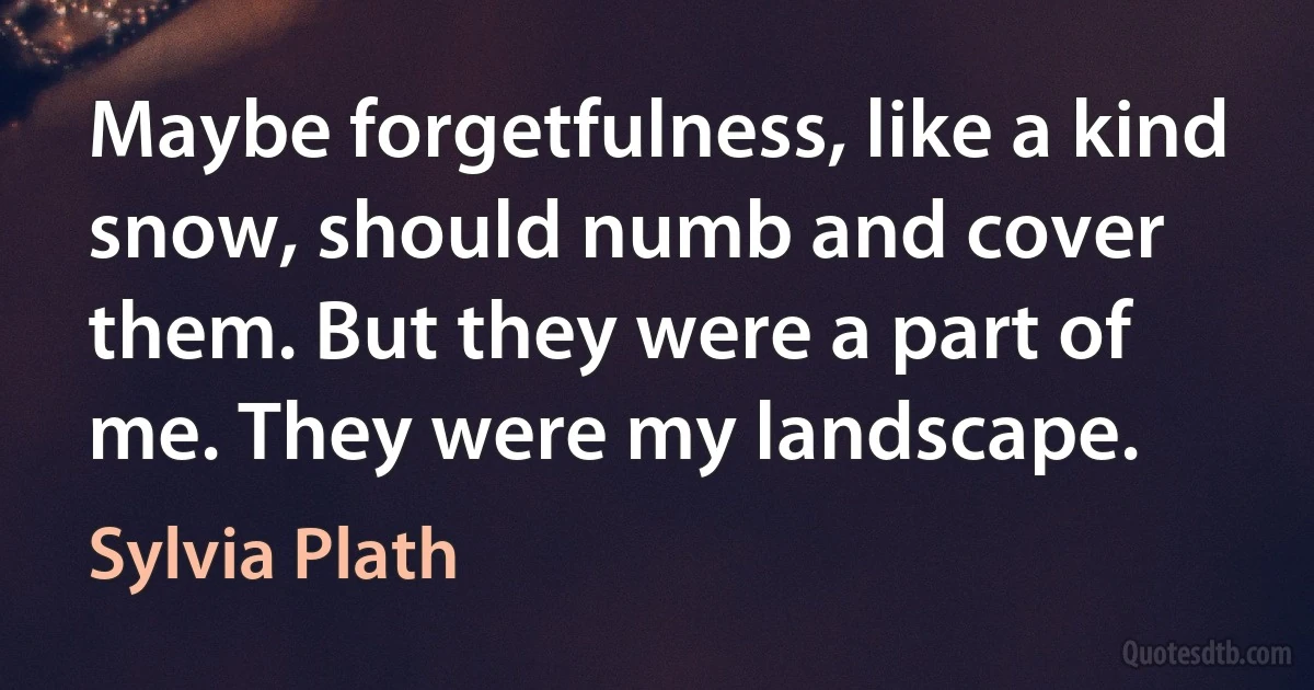 Maybe forgetfulness, like a kind snow, should numb and cover them. But they were a part of me. They were my landscape. (Sylvia Plath)