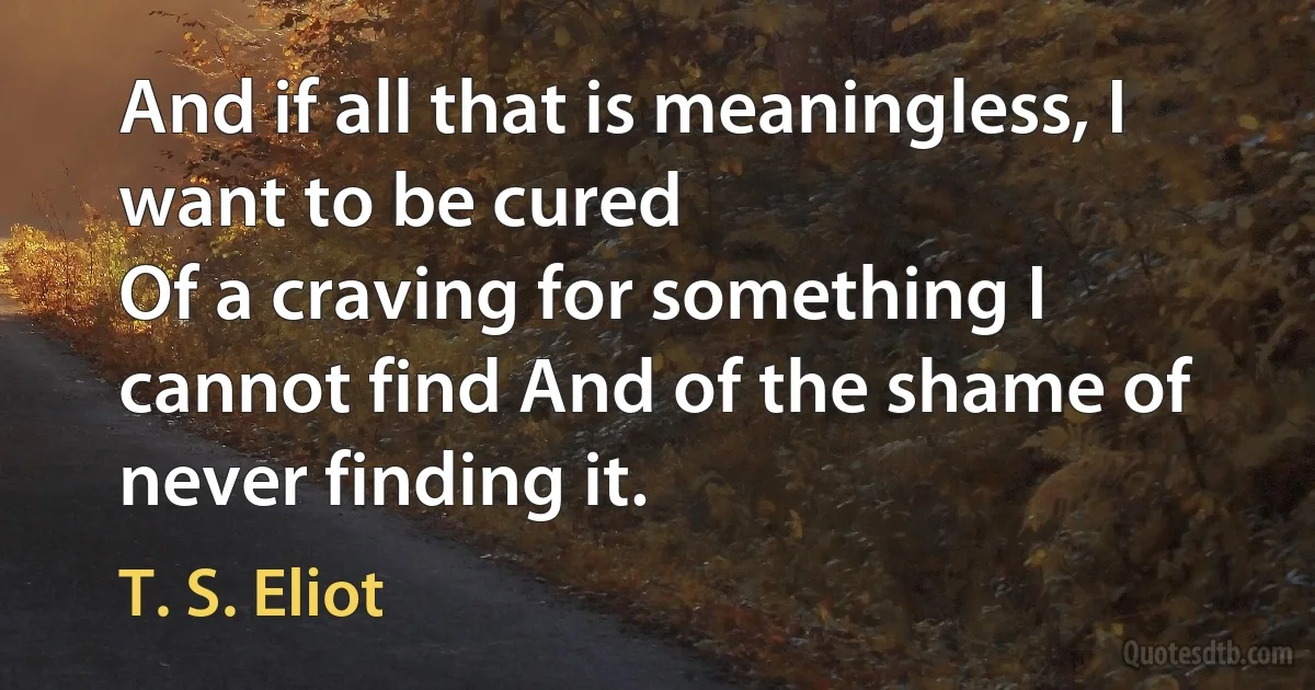 And if all that is meaningless, I want to be cured
Of a craving for something I cannot find And of the shame of never finding it. (T. S. Eliot)