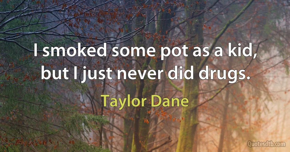 I smoked some pot as a kid, but I just never did drugs. (Taylor Dane)