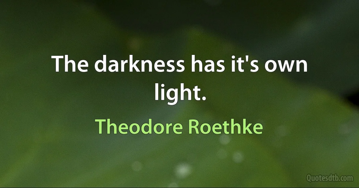 The darkness has it's own light. (Theodore Roethke)