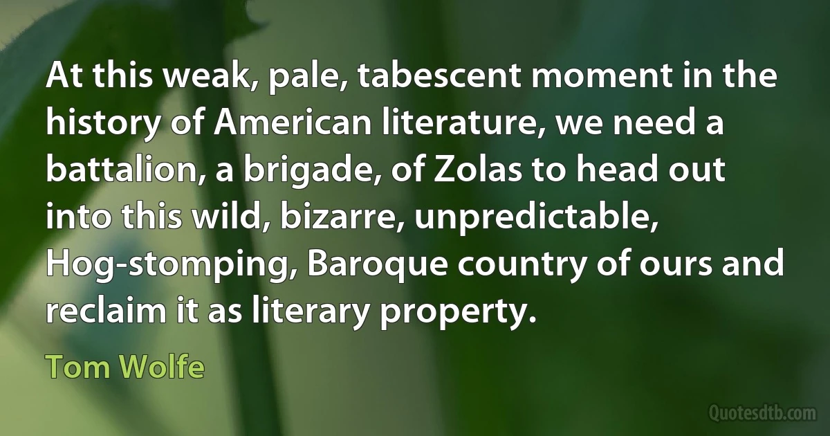 At this weak, pale, tabescent moment in the history of American literature, we need a battalion, a brigade, of Zolas to head out into this wild, bizarre, unpredictable, Hog-stomping, Baroque country of ours and reclaim it as literary property. (Tom Wolfe)