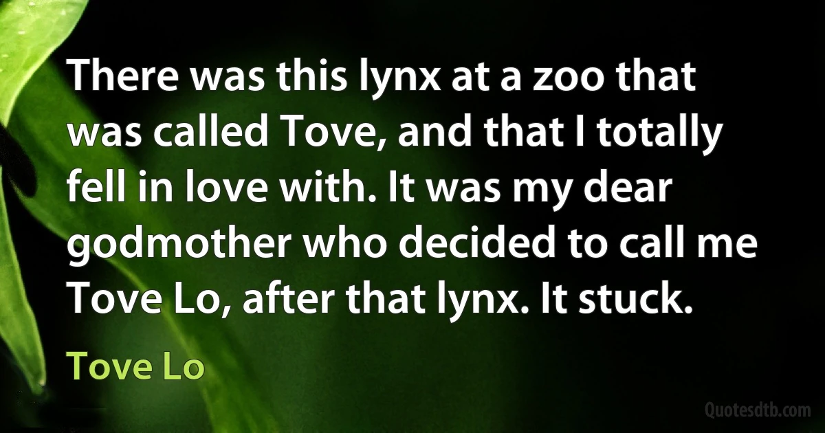 There was this lynx at a zoo that was called Tove, and that I totally fell in love with. It was my dear godmother who decided to call me Tove Lo, after that lynx. It stuck. (Tove Lo)