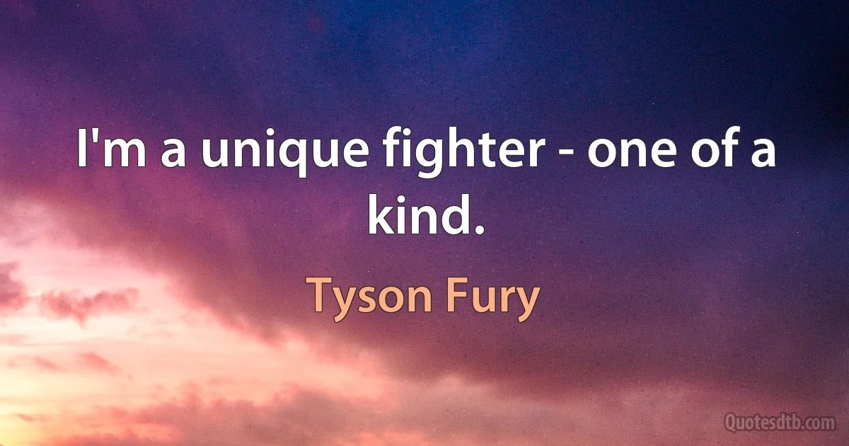 I'm a unique fighter - one of a kind. (Tyson Fury)