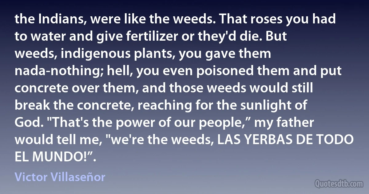 the Indians, were like the weeds. That roses you had to water and give fertilizer or they'd die. But weeds, indigenous plants, you gave them nada-nothing; hell, you even poisoned them and put concrete over them, and those weeds would still break the concrete, reaching for the sunlight of God. "That's the power of our people,” my father would tell me, "we're the weeds, LAS YERBAS DE TODO EL MUNDO!”. (Victor Villaseñor)