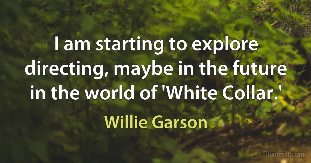 I am starting to explore directing, maybe in the future in the world of 'White Collar.' (Willie Garson)