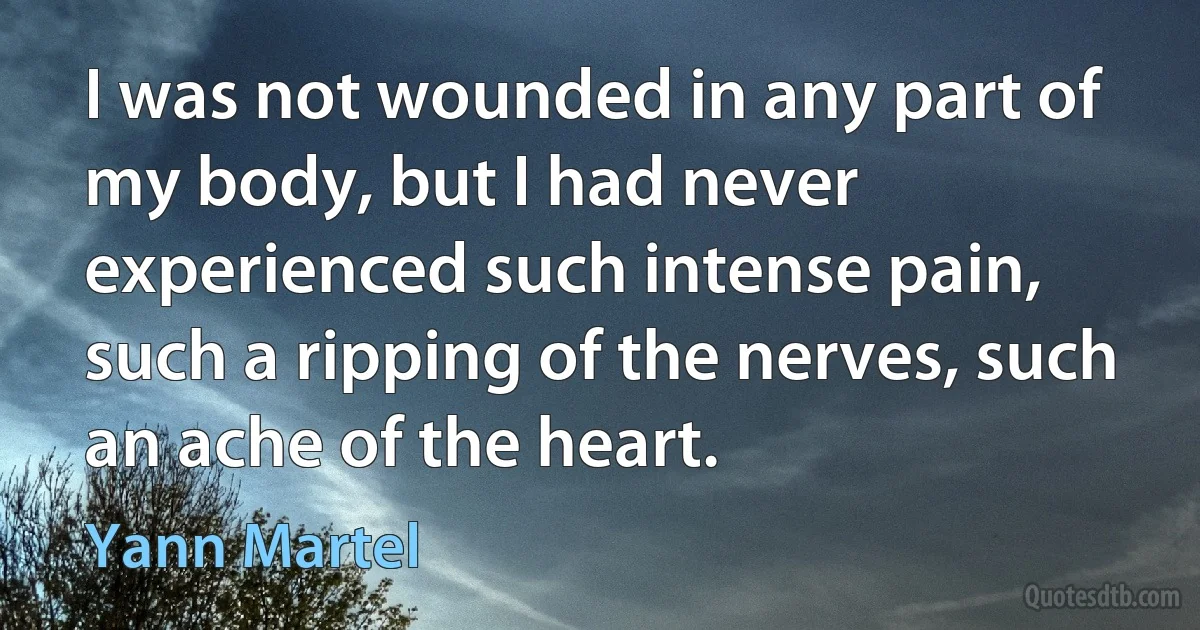 I was not wounded in any part of my body, but I had never experienced such intense pain, such a ripping of the nerves, such an ache of the heart. (Yann Martel)