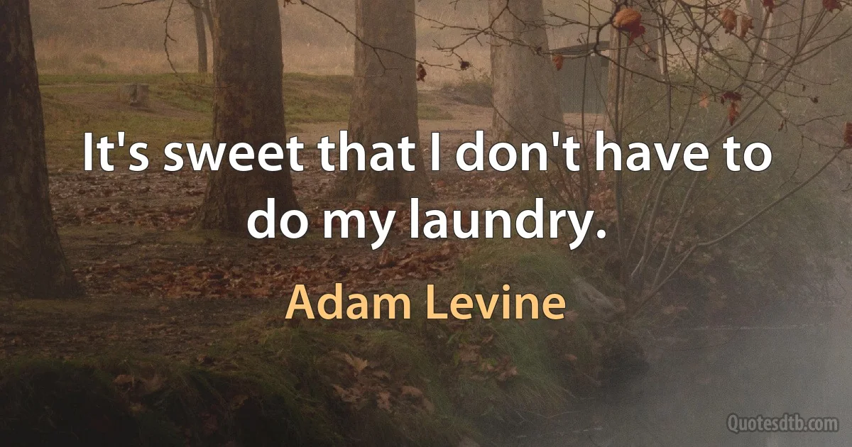 It's sweet that I don't have to do my laundry. (Adam Levine)