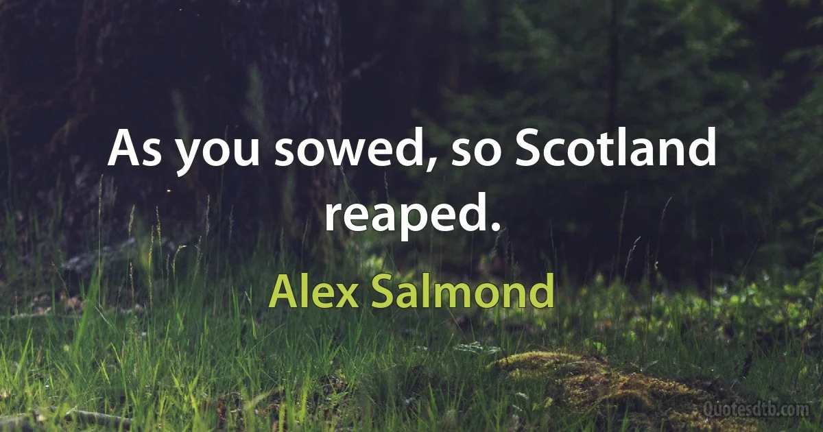 As you sowed, so Scotland reaped. (Alex Salmond)