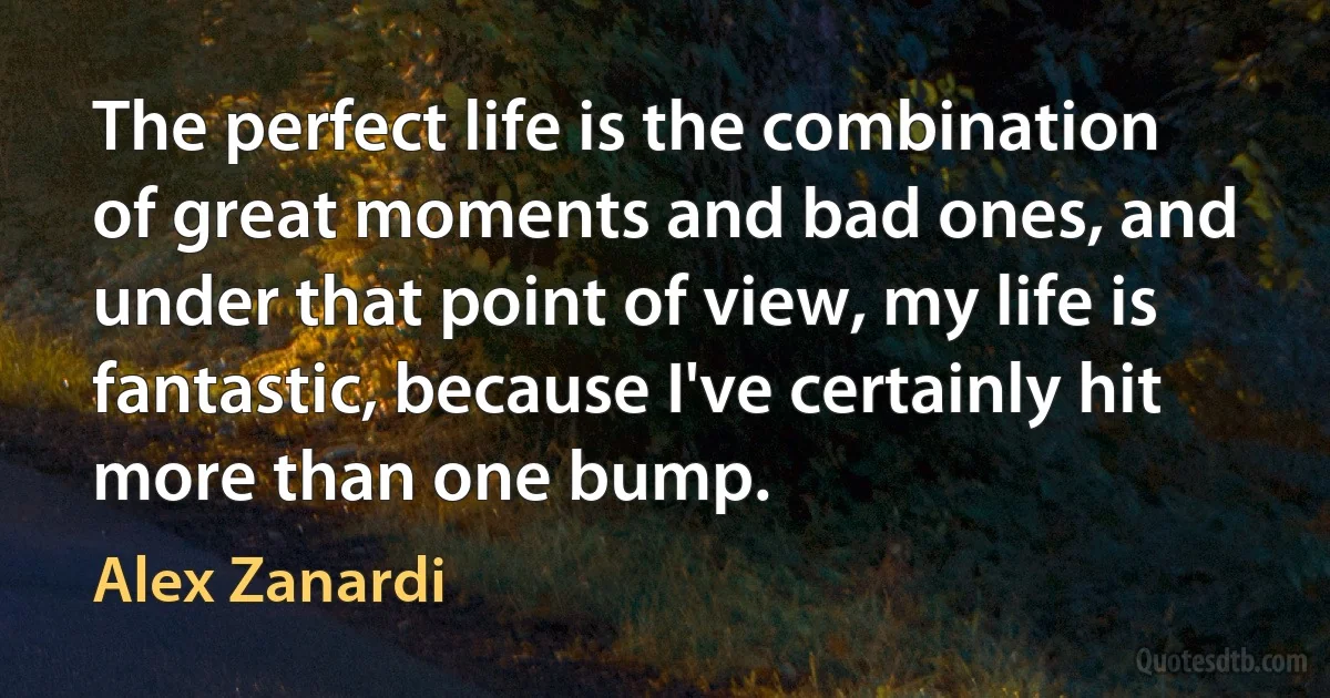 The perfect life is the combination of great moments and bad ones, and under that point of view, my life is fantastic, because I've certainly hit more than one bump. (Alex Zanardi)